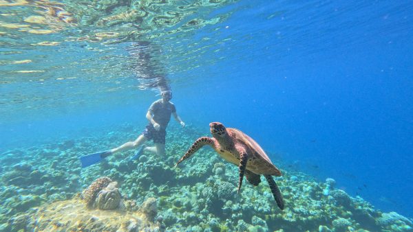 Soneva Fushi, Maldives