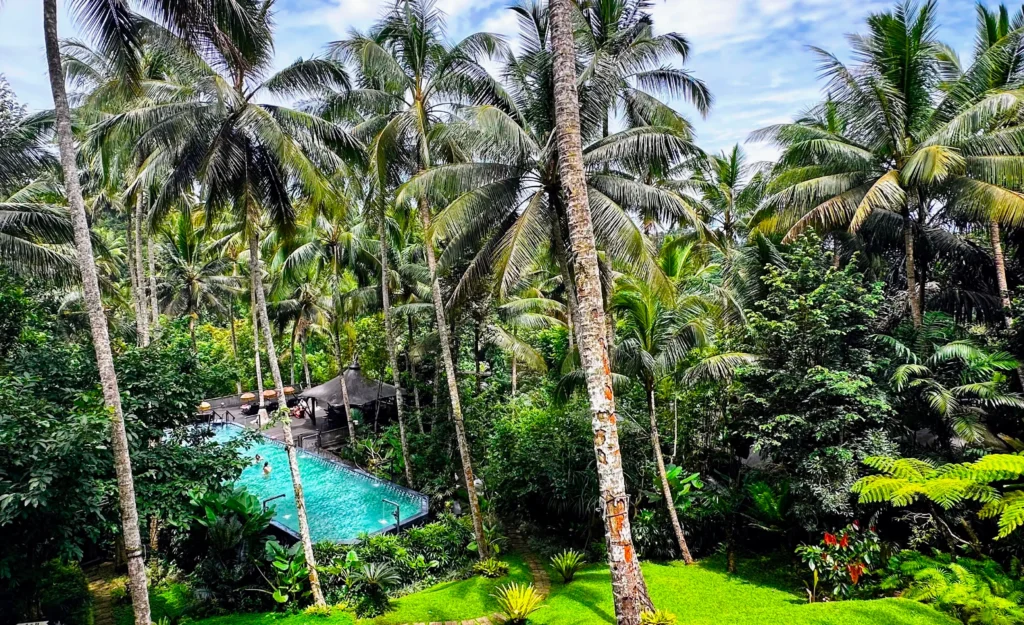 View over the pool at Capella Ubud 