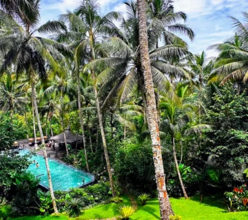 View over the pool at Capella Ubud 