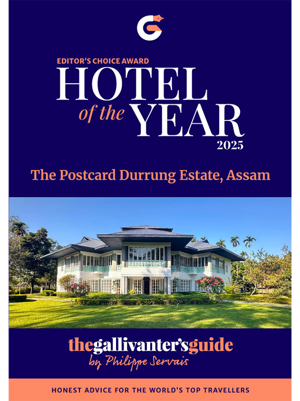 Website Cover 600x800